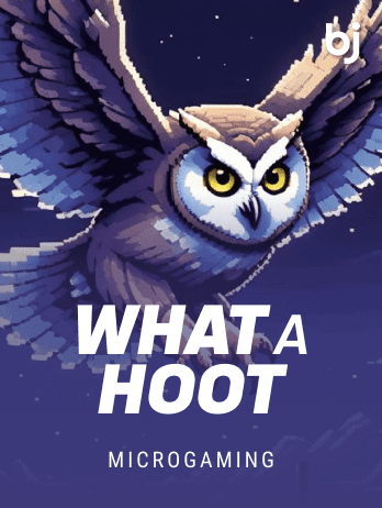 What A Hoot